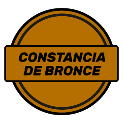 Medalla Constancia BRONCE