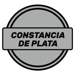 Medalla Constancia PLATA